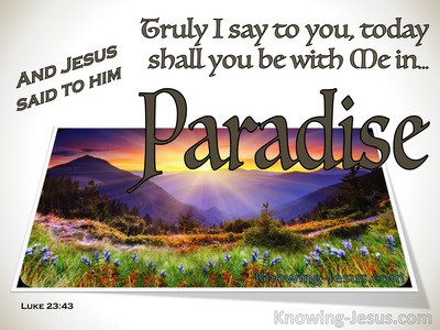 Promise of Paradise (Easter Reflections - (4)